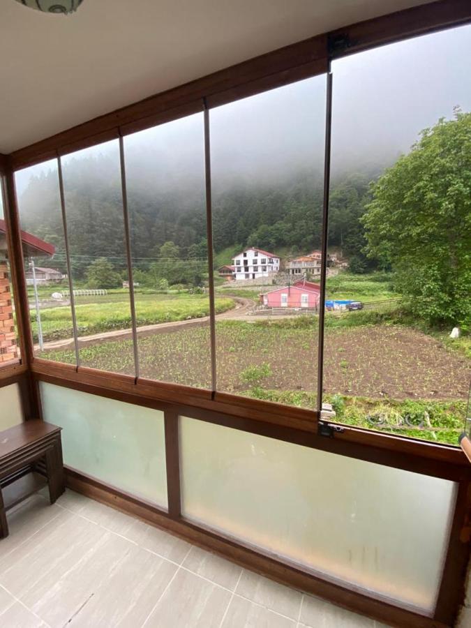 Aparthotel Talipoglu Apart Uzungöl Zewnętrze zdjęcie