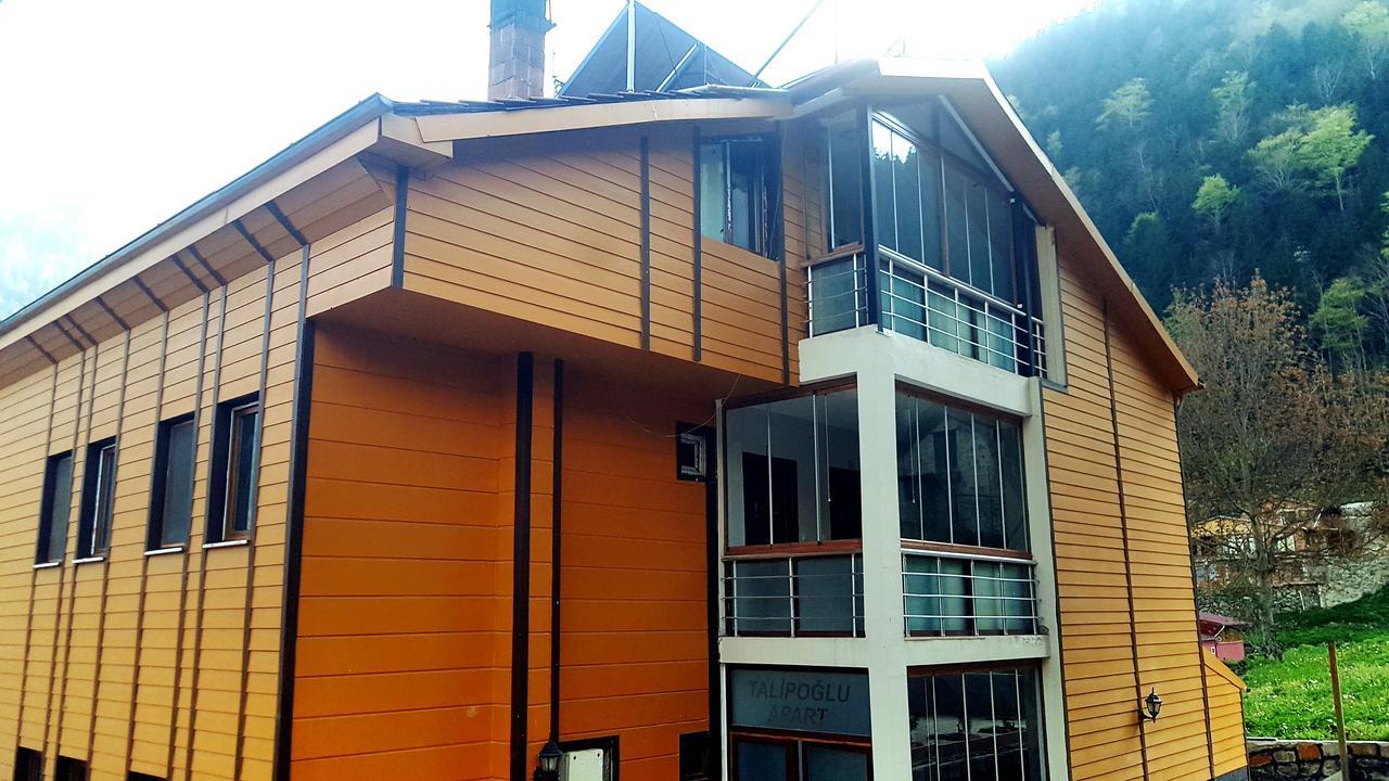 Aparthotel Talipoglu Apart Uzungöl Zewnętrze zdjęcie