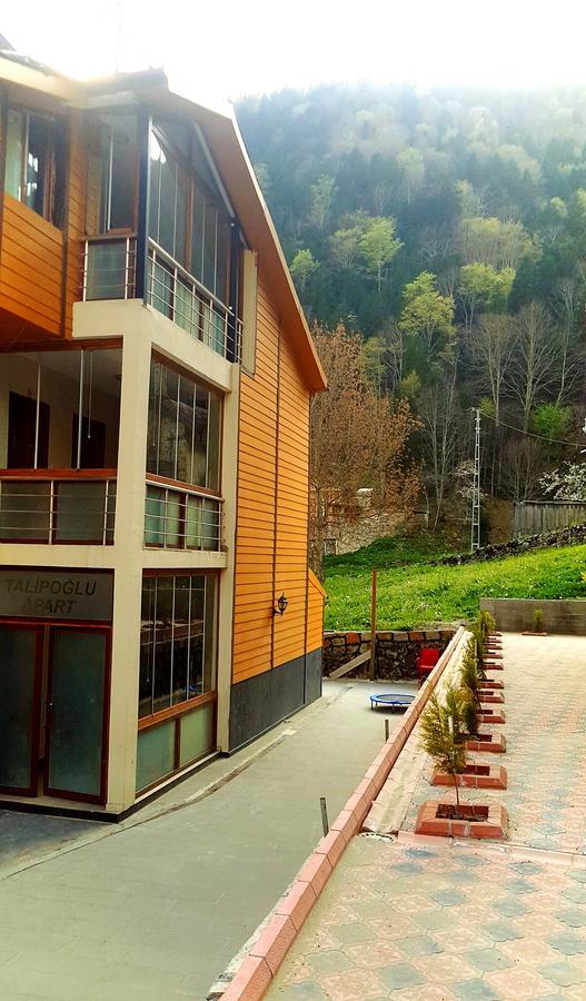 Aparthotel Talipoglu Apart Uzungöl Zewnętrze zdjęcie