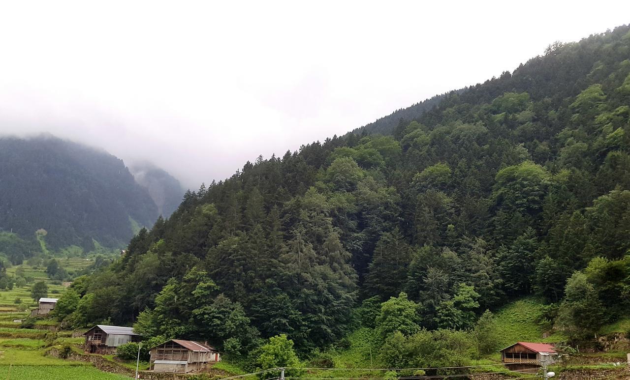 Aparthotel Talipoglu Apart Uzungöl Zewnętrze zdjęcie