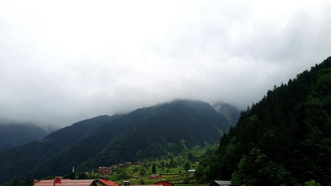 Aparthotel Talipoglu Apart Uzungöl Zewnętrze zdjęcie
